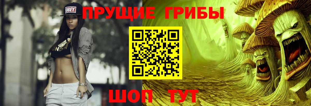 Галлюциногенные грибы прущие грибы Кисловодск
