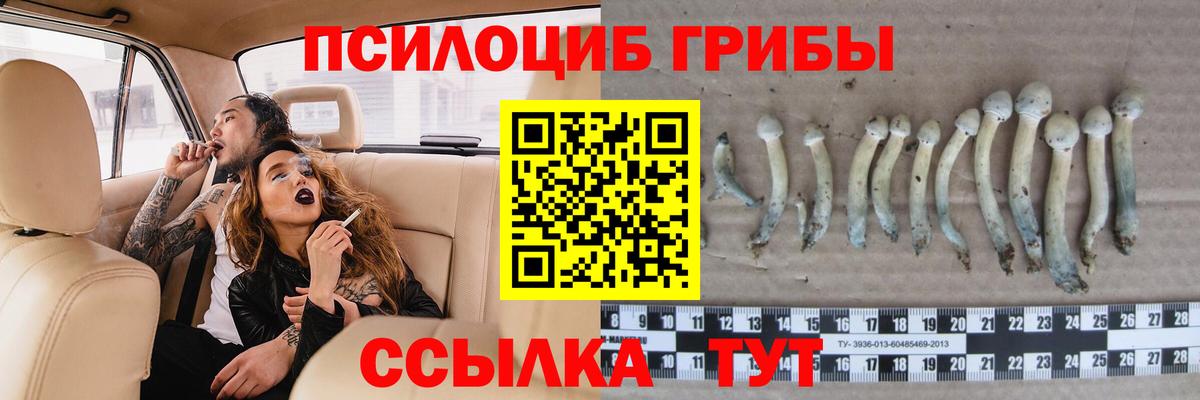 Псилоцибиновые грибы мицелий  Вход с VPN  Кисловодск 